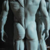 Male Anatomy Muscles & Planes - 1/5 Statue
