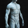 Male Anatomy Muscles - 1/5 Statue
