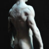 Male Anatomy Muscles - 1/5 Statue