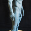 Male Anatomy Muscles - 1/5 Statue