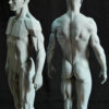 Male Anatomy Muscles & Planes - 1/5 Statue