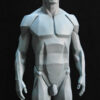 Male Anatomy Planes - 1/5 Statue