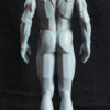 Male Anatomy Planes - 1/5 Statue