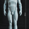 Male Anatomy Planes - 1/5 Statue