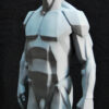 Male Anatomy Planes - 1/5 Statue