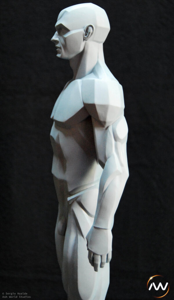 Male Anatomy Planes - 1/5 Statue
