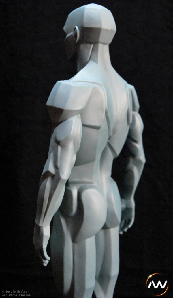 Male Anatomy Planes - 1/5 Statue
