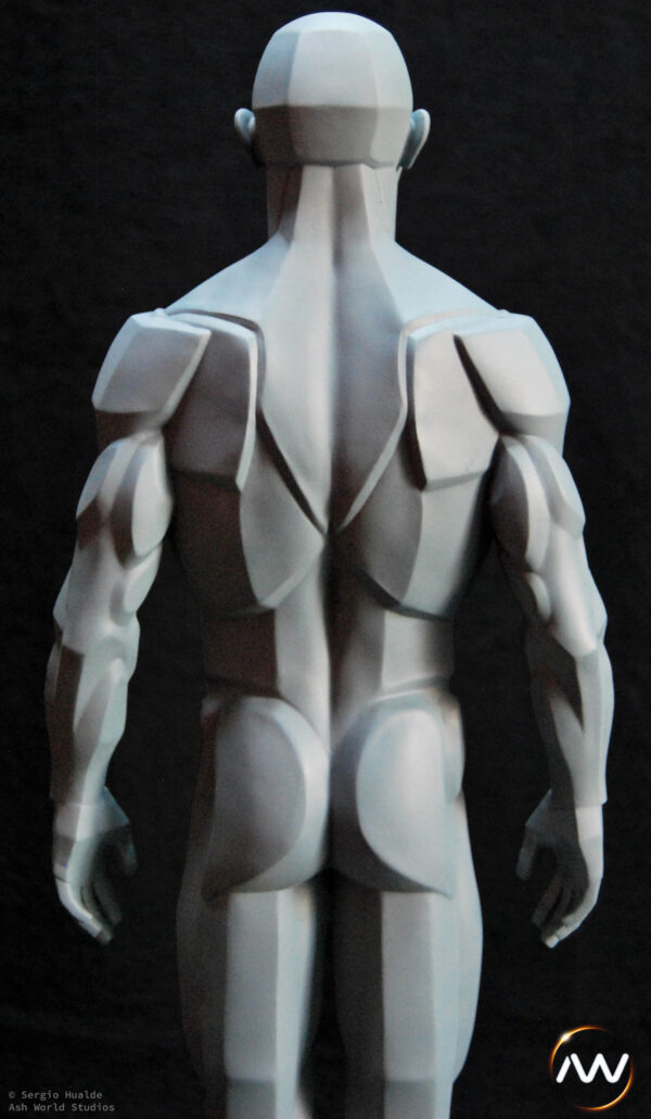 Male Anatomy Planes - 1/5 Statue