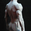 Male Anatomy Planes - 1/5 Statue