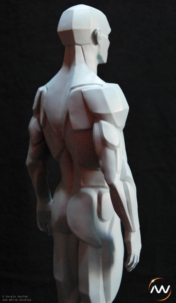 Male Anatomy Planes - 1/5 Statue