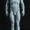 Male Anatomy Planes - 1/5 Statue