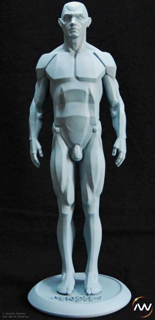 Male Anatomy Planes - 1/5 Statue