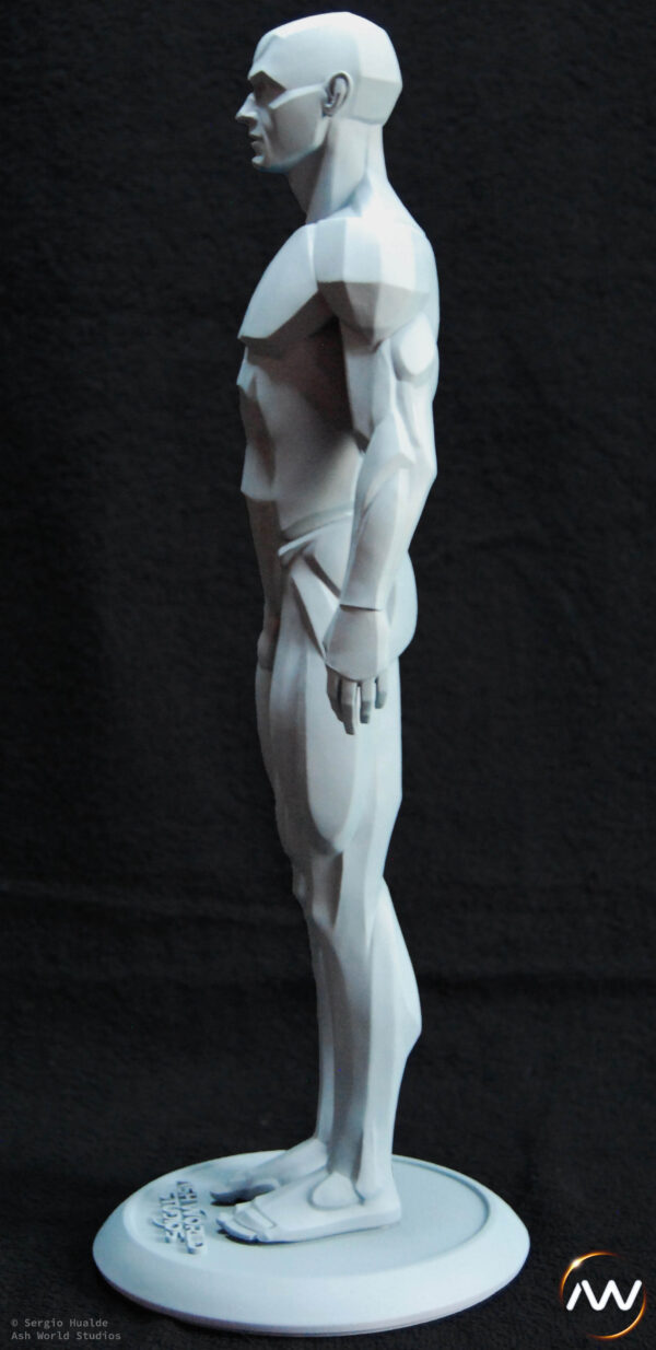 Male Anatomy Planes - 1/5 Statue