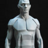 Male Anatomy Planes - 1/5 Statue