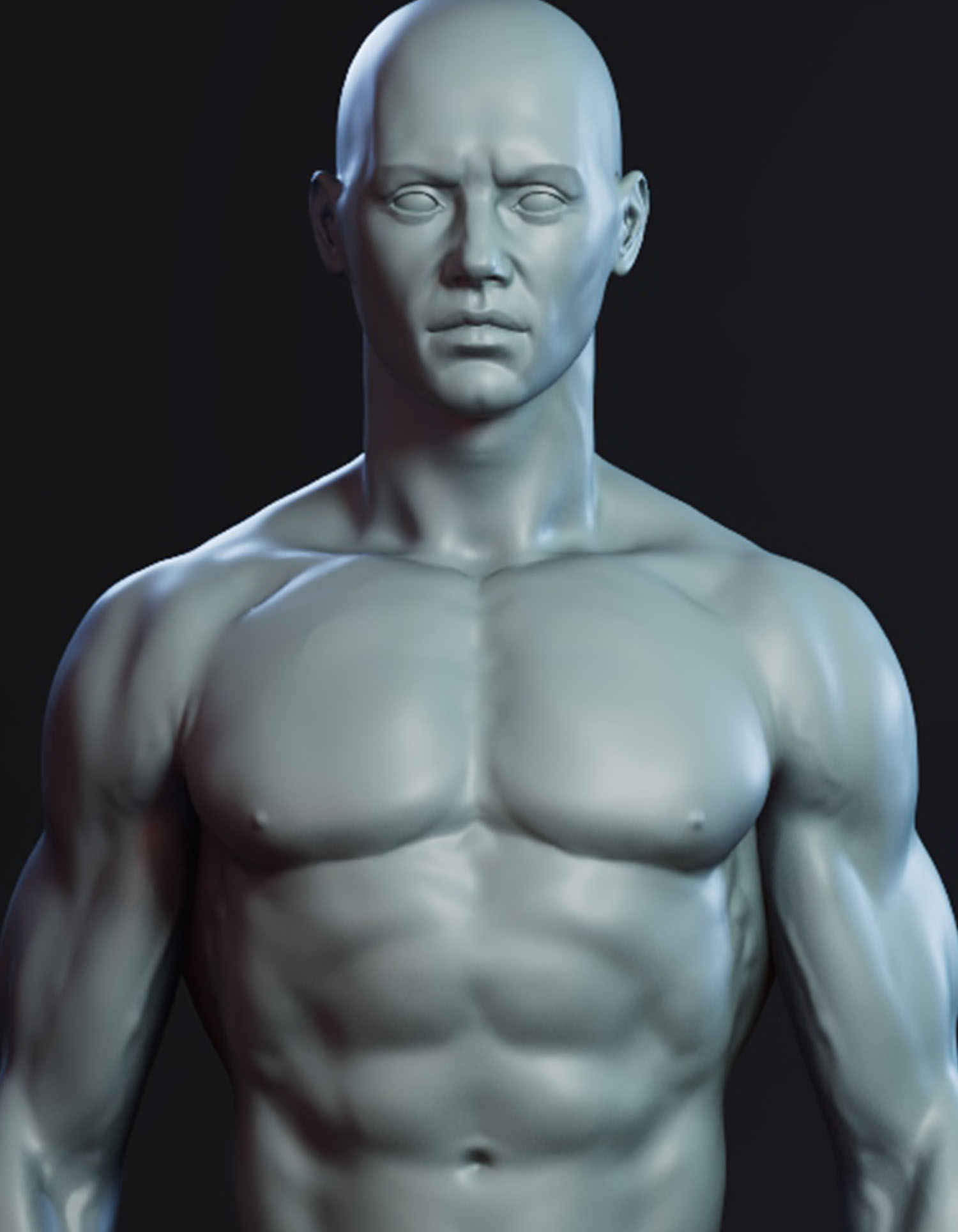 Anatomía Masculina 2.0